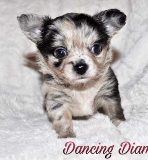 FB_IMG_1644178051949