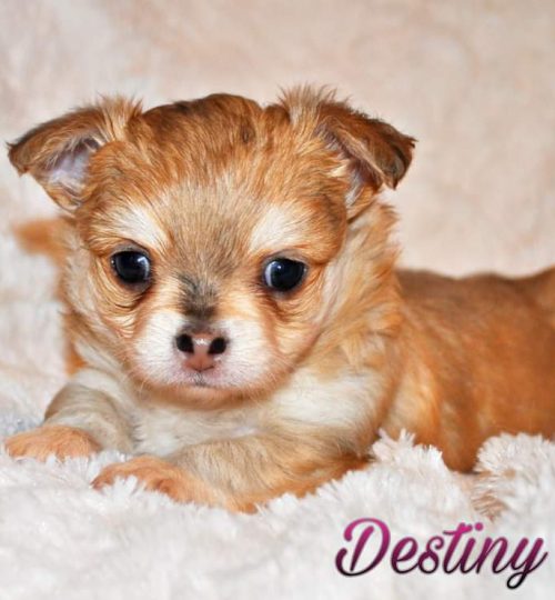 FB_IMG_1644178054716