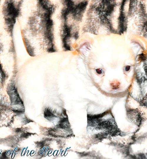 FB_IMG_1644178057402