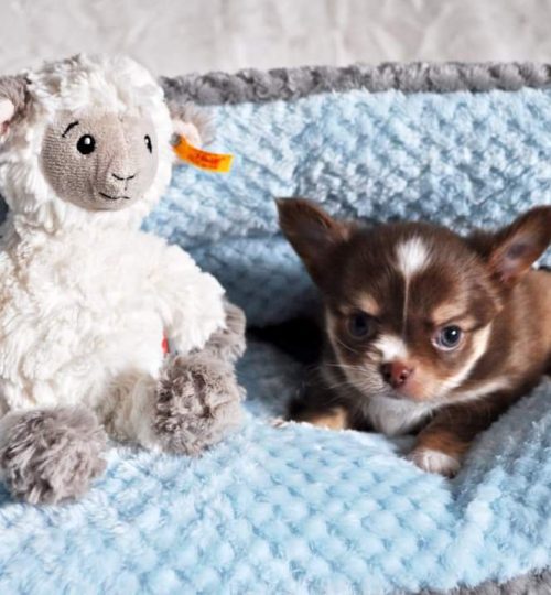 FB_IMG_1648669469126