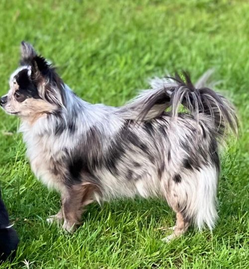 die glückliche Mama Didl