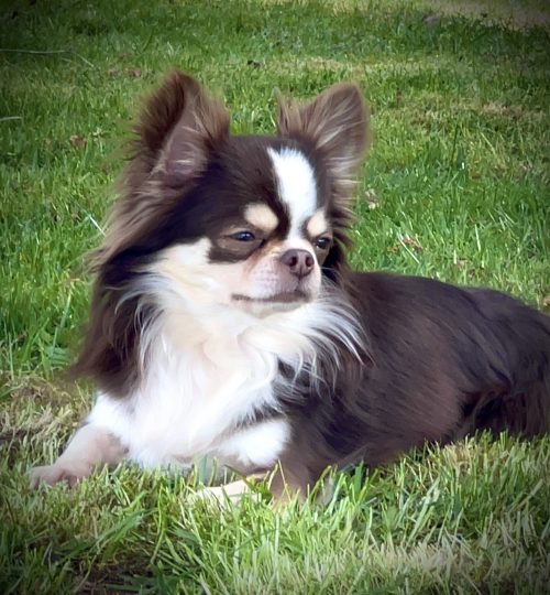 der stolze Papa Manni